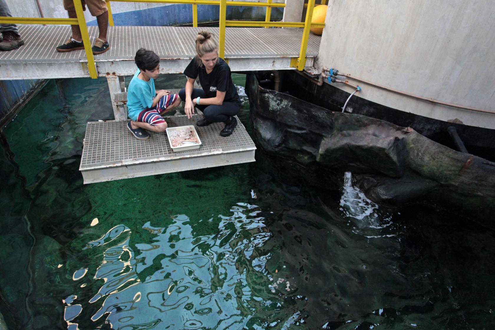 Orientadora está com criança no tanque oceânico e se preparam para alimentar espécie. #Pracegover