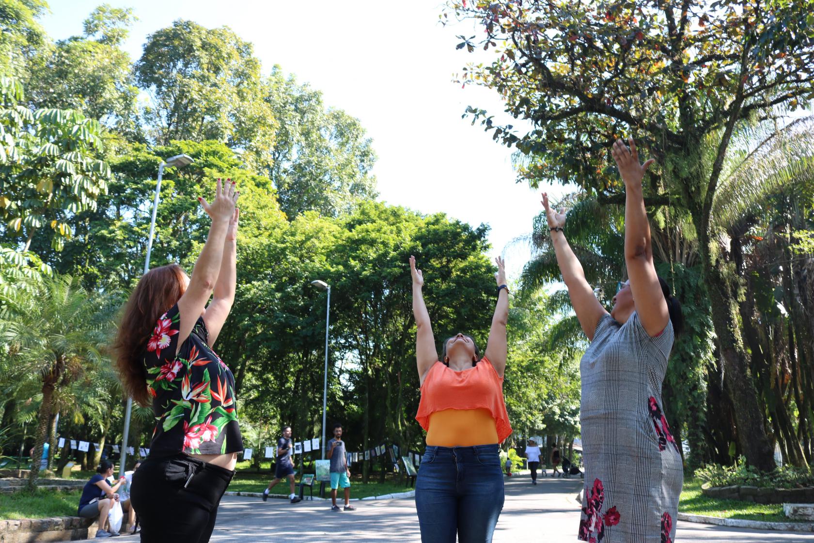 Três pessoas levantam a mão para o alto, no meio de uma alameda do Jardim Botânico. Elas parecem alongar o corpo. #Pracegover