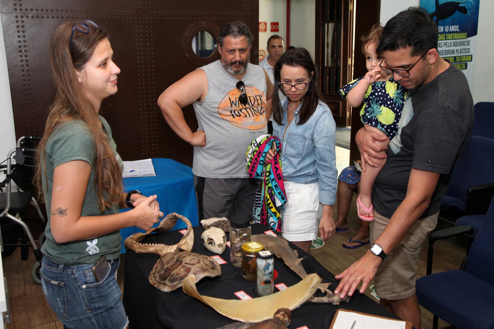 turistas olham amostras de animais #pracegover 