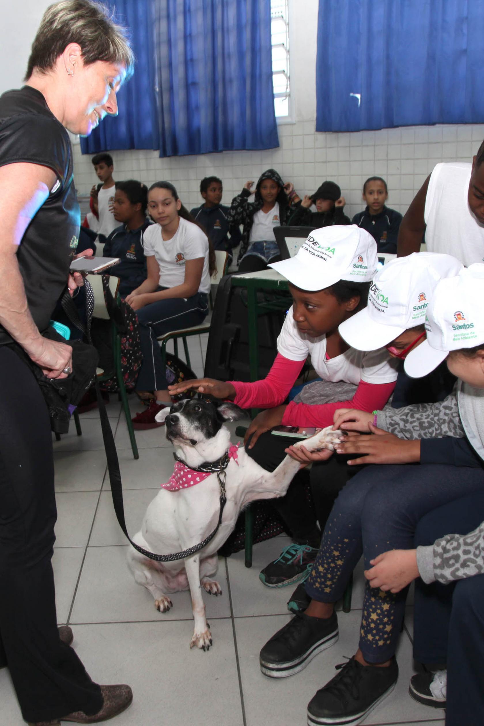 alunos fazem carinho em cachorro na sala de aula #pracegover