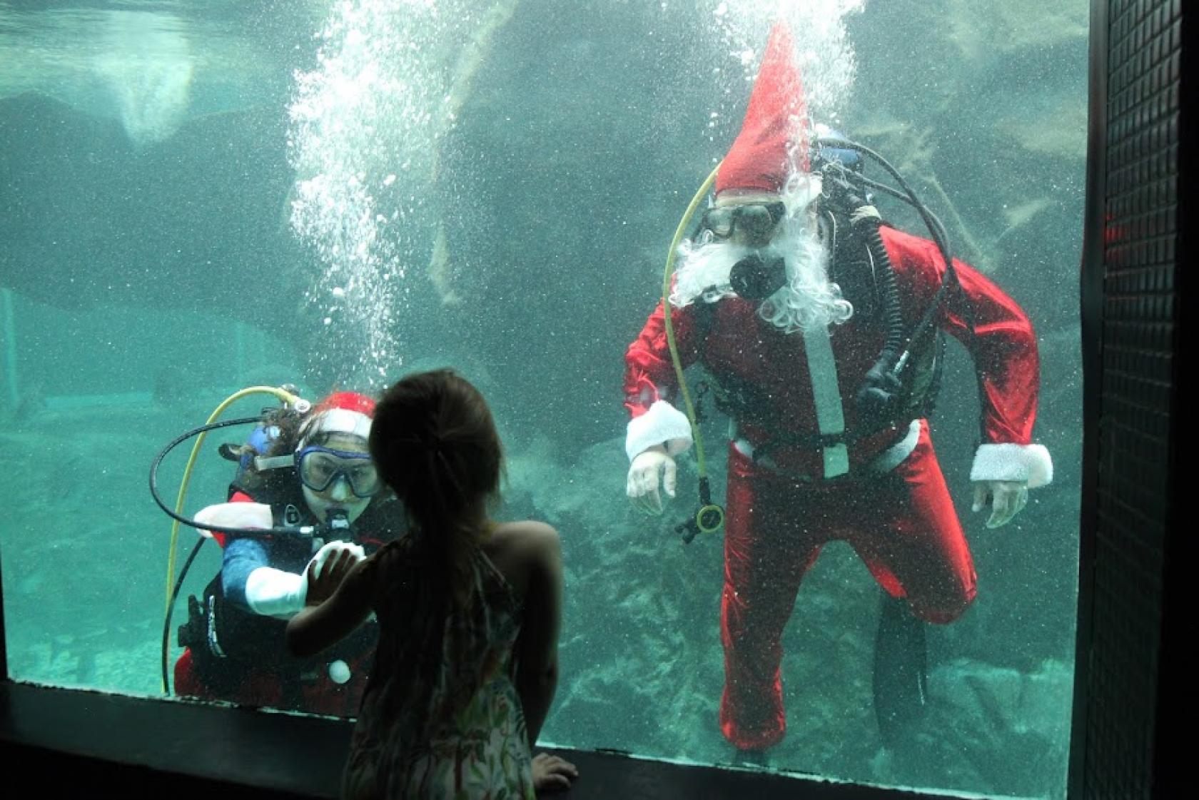 Menina interage com papai e mamãe noel mergulhando #paratodosverem