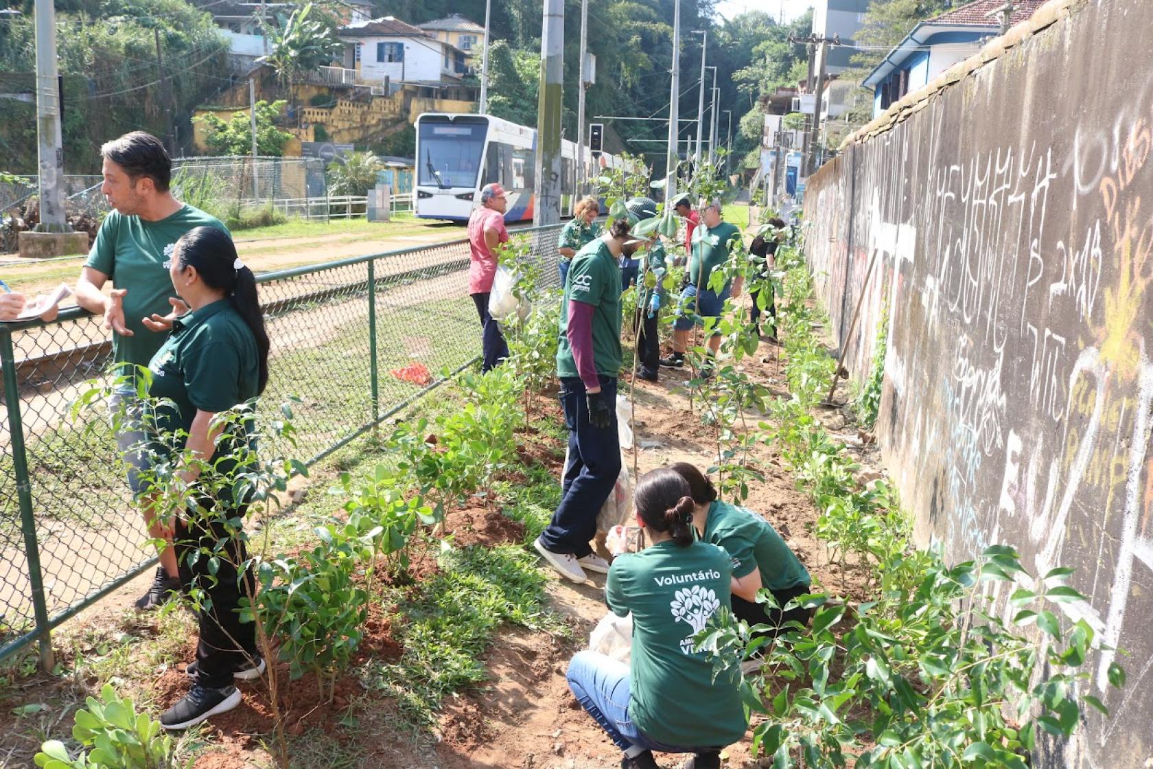 pessoas plantando arvores #paratodosverem