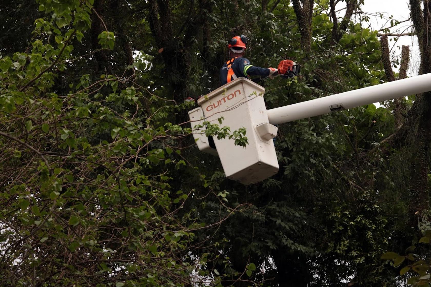 homem poda árvore em guindaste #paratodosverem 