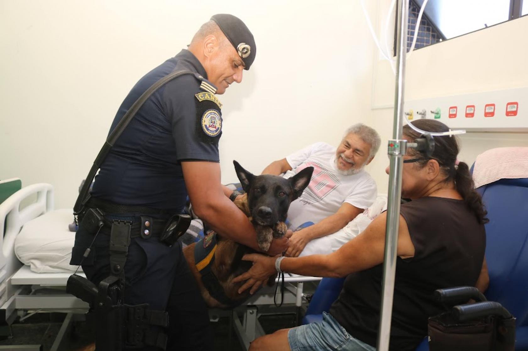 cão é usado para tratamento de paciente #paratodosverem