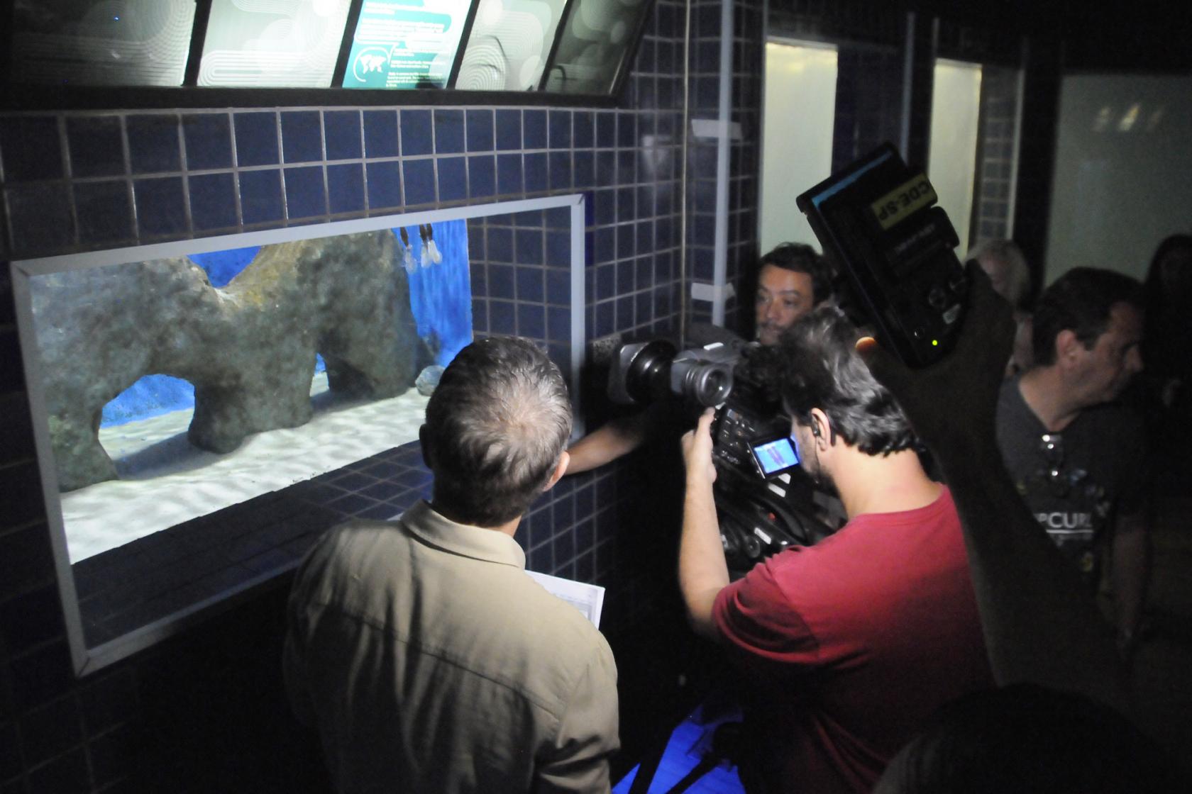 equipe grava cena de aquário #pracegover 
