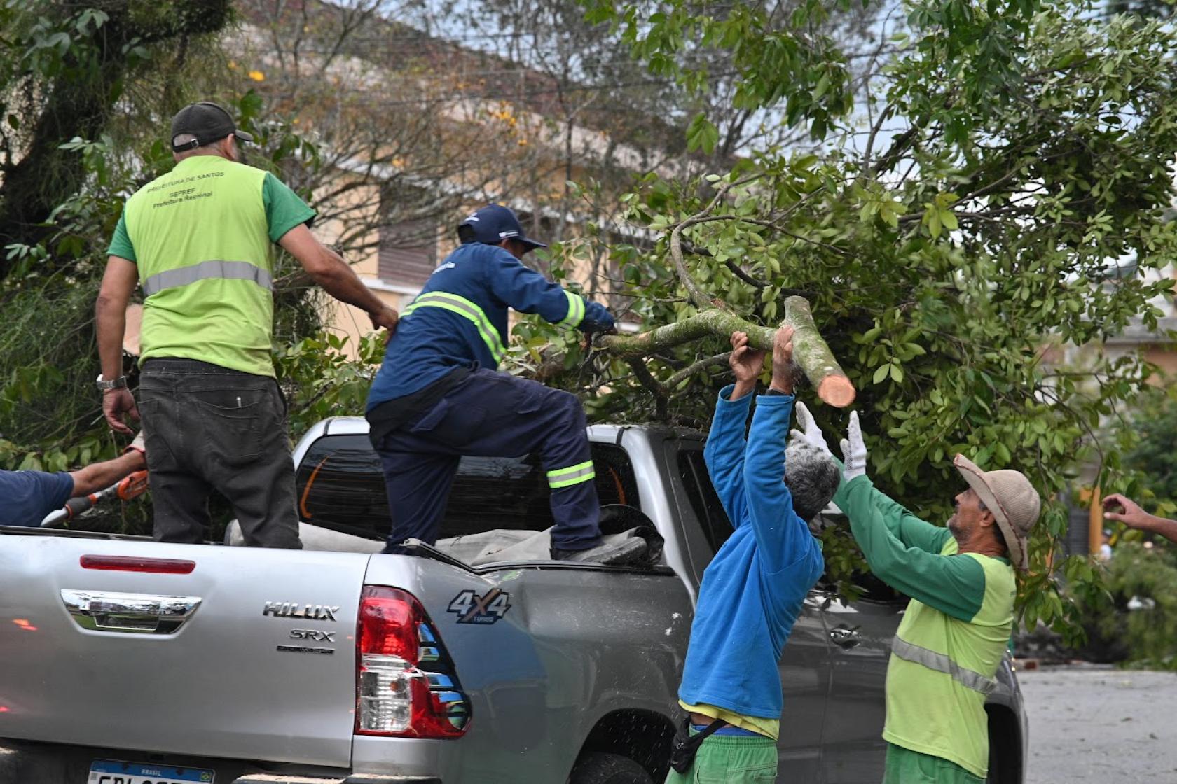 operários retirando árvore e colocando em carro #paratodosverem