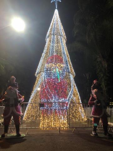 árvore gigante iluminada #paratodosverem
