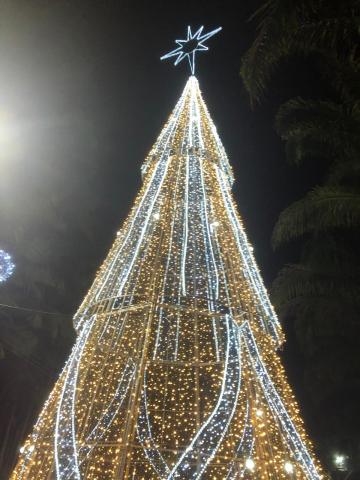 árvore girante iluminada #paratodosverem