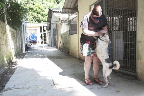 mulher abraça cachorro na codevida #paratodosverem 