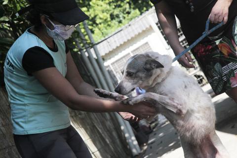 mulher segura cachorro, que se apoia em duas patas #paratodosverem 