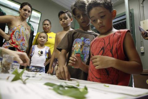 meninos olham plantas na mesa #pracegover 