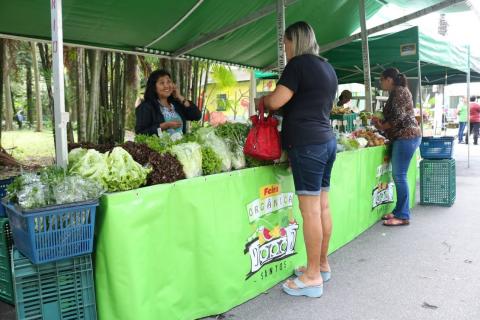 Duas mulheres estão frente a frente em barraca de feira. A bancada está cheia de verduras. #Pracegover