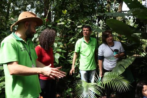 Homens e mulheres ao lado de muda de palmito recém-plantada. Eles estão em meio a uma vegetação. #Pracegover