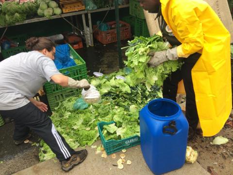técnicos recolhem restos de verduras #pracegover 