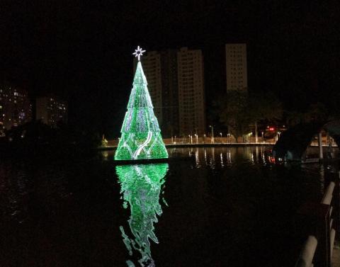 árvore iluminada na lagoa #paratodosverem