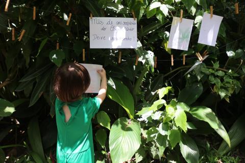 criança coloca papel em árvore #paratodosverem
