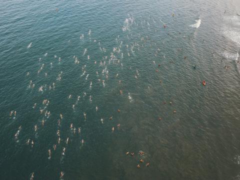 visão aérea dos atletas nadando #paratodosverem 