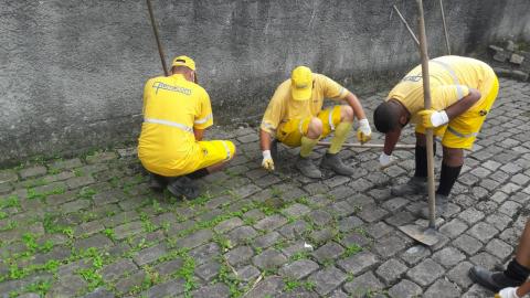 3 homens capinando #paratodosverem  