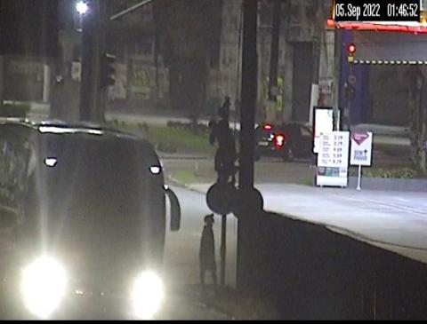 Dois homens estão em junto a poste de semáforo. Um está no chão e outro subiu no poste. #paratodosverem