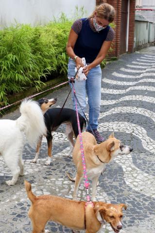mulher passeia com 4 cachorros #paratodosverem 