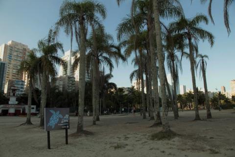 Placa com desenho de tartaruga-marinha próxima a árvores na faixa de areia. #pratodosverem