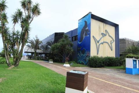 fachada do parque com painel que apresente pintura em uma das frentes, e a silhueta de um tubarão em outra. #paradosoverem