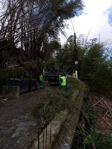 Trabalhadores retiram bambus de via no morro #paratodosverem