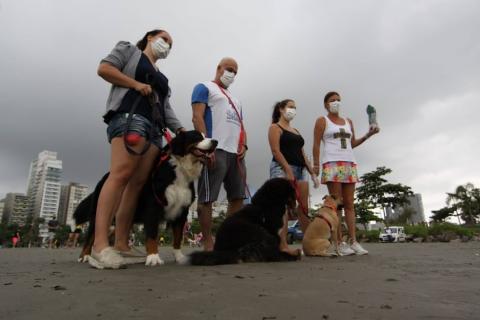 quatro pessoas reunidas com três cães sentados na areia. #paratodosverem