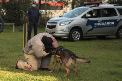homem com roupa de proteção contra mordida se aproxima de cão. #paratodosverem