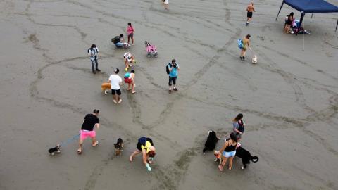 tutores e respectivos cães na faixa de areia. #paratodosverem
