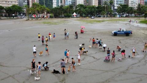 imagem geral aérea da faixa de areia, com tutores e cães. Há também uma viatura da guarda municipal. #paratodosverem