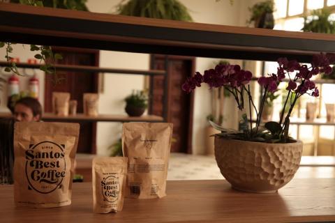 pacotes de café sobre balcão e vasos de flores ao lado e ao fundo. #paratodosverem