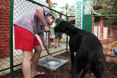 tutor acompanha cão até bebedouro. #paratodosverem