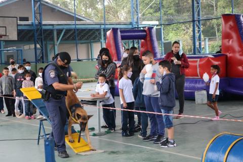 Cães da guarda se apresentam #paratodosverem