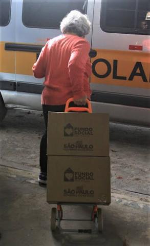 mulher está de costas puxando um carrinho com duas caixas de mantimentos. #paratodosverem