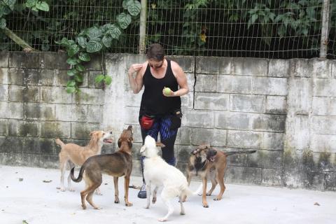 mulher está em pé segurando bolinhas para brincar com quatro cães que estão em torno dela. #paratodosverem
