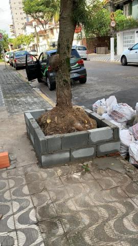 raiz de árvore cortada e o tronco. Ao lado, sacos evidenciam obra recente. #paratodosverem