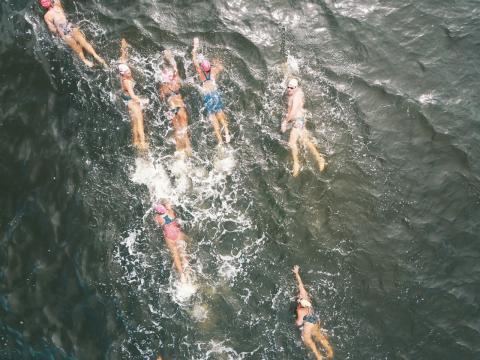 visão aérea dos atletas nadando #paratodosverem
