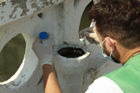 Agente colhe amostra em respirador em mureta do canal. #pratodosverem