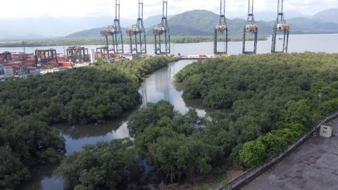 vista geral do rio saboó, que desemboca no estuário. Três porteineres estão à marquem do porto. #paratodosverem