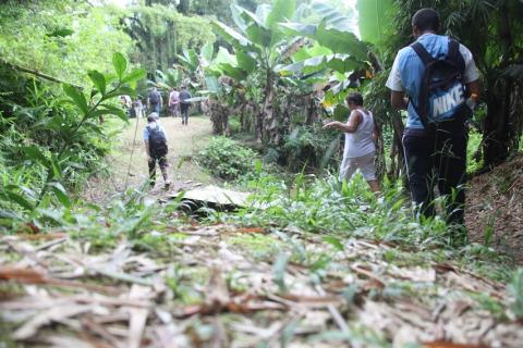 turistas na trilha com vegetação. #paratodosverem