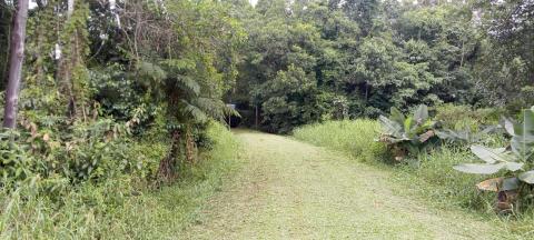 trilha ao centro e vegetação nas laterais. #paratodos