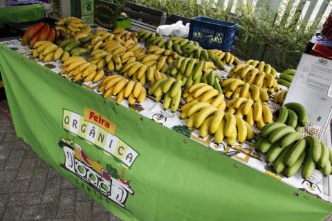 Barraca com bananas na feira de orgânicos #paratodosverem