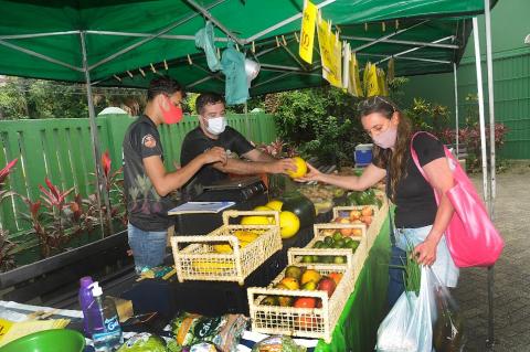 barraca de frutas com dois vendores de um lado e uma mulher do outro. A mulher, carregando sacolas, e um dos vendedores seguram ao mesmo tempo um melão. #paratodosverem