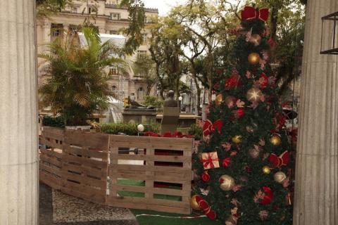 arvore de natal e cercado de madeira na praça #paratodosverem