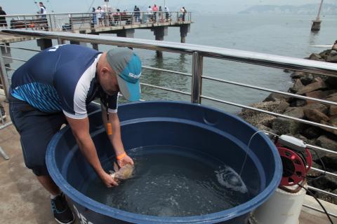 pescador coloca peixe em tanque #paratodosverem