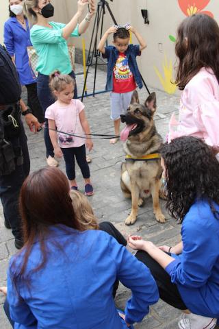 Crianças passam a mão em cachorro #paratodosverem