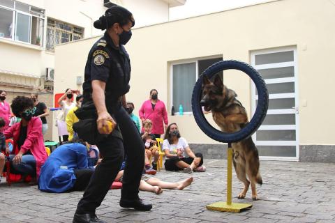 Guarda orienta cachorro em apresentação com crianças assistindo #paratodosverem