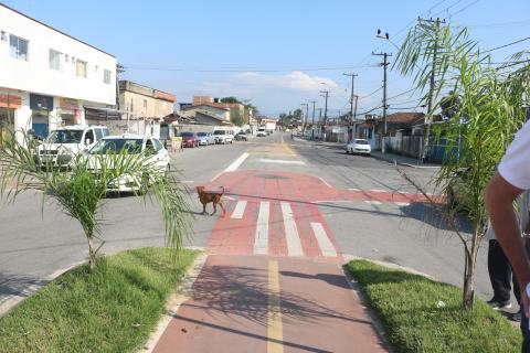 trecho da via com foco principal na ciclovia. #paratodosverem