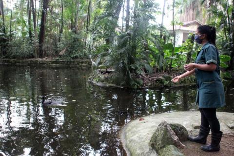 mulher joga comida no lago para animais #paratodosverem